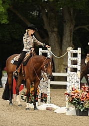 The Rope Gate in Trail Class at Quarter Horse Show, Palgrave 2012