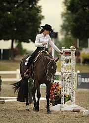 The Rope Gate in Trail Class at Quarter Horse Show, Palgrave 2012