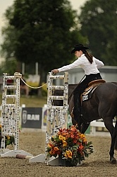 The Rope Gate in Trail Class at Quarter Horse Show, Palgrave 2012