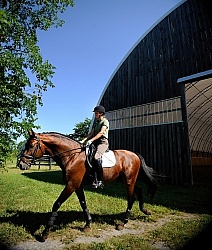 Oldenburg Leaving the Indoor Arena