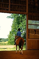 Oldenburg Leaving the Indoor Arena