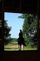 Oldenburg Leaving the Indoor Arena