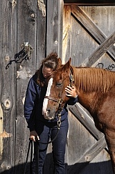Senior Horse with Owner