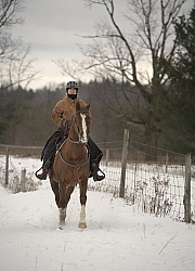 Winter Riding