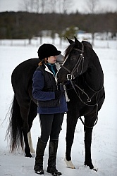 Winter Horse and Human Bond