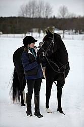 Winter Horse and Human Bond