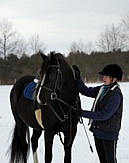 Winter Horse and Human Bond