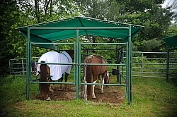 The Covered Stalls at Pure Country Campgrounds Portable Stalls