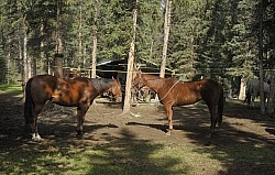 High Lining or Line Tying at Wild Deuces Womens Retreat 