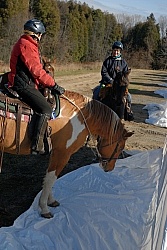 Trail Riding Desensitizing