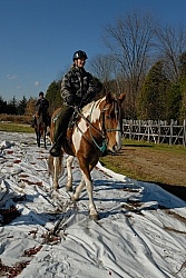 Trail Riding Desensitizing