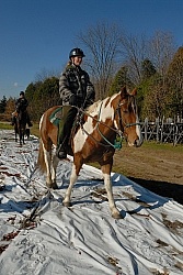 Trail Riding Desensitizing
