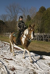 Trail Riding Desensitizing