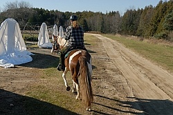 Trail Riding Desensitizing
