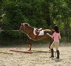 Lunging over Poles