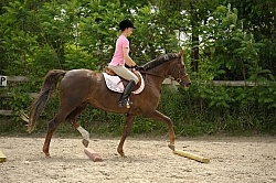 Schooling Over Poles