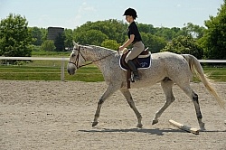 Schooling Over Poles