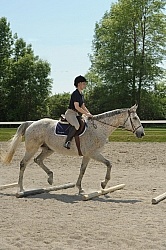 Schooling Over Poles