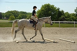 Schooling Over Poles