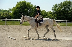 Schooling Over Poles