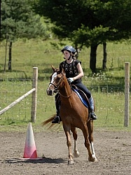 Schooling Show at Kids Camp