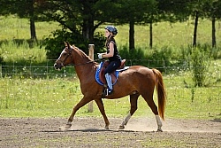 Kids Showing in Schooling Show
