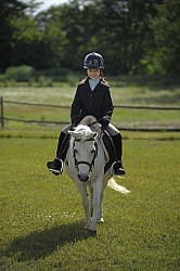 Kids Showing in Schooling Show