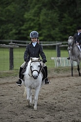 Kids Showing in Schooling Show