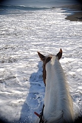 Riding on the Beach at Ricochet Ridge Ranch