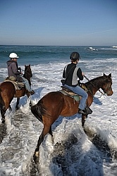 Riding on the Beach at Ricochet Ridge Ranch