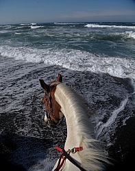 Riding on the Beach at Ricochet Ridge Ranch