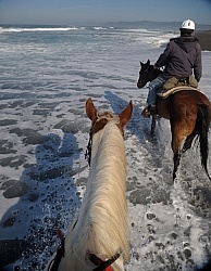 Riding on the Beach at Ricochet Ridge Ranch