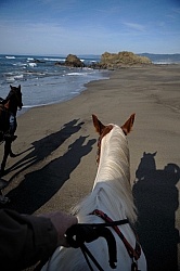 Riding on the Beach at Ricochet Ridge Ranch
