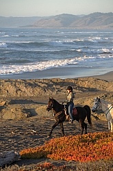 Riding on the beach at Ricochet Ridge Ranch Riding on the beach at Ricochet Ridge Ranch