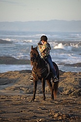 Riding on the beach at Ricochet Ridge Ranch Riding on the beach at Ricochet Ridge Ranch