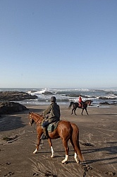 Riding on the beach at Ricochet Ridge Ranch