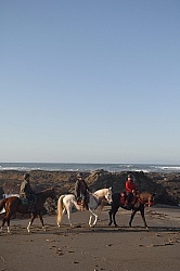 Riding on the beach at Ricochet Ridge Ranch