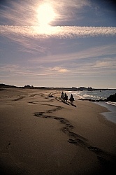 Riding on the beach at Ricochet Ridge Ranch