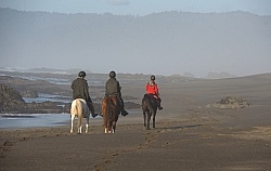 Riding on the beach at Ricochet Ridge Ranch Riding on the Beach at Ricochet Ridge Ranch