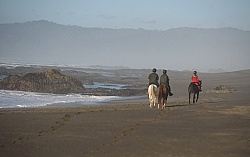 Riding on the beach at Ricochet Ridge Ranch Riding on the Beach at Ricochet Ridge Ranch