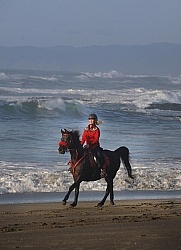 Riding on the beach at Ricochet Ridge Ranch Riding on the Beach at Ricochet Ridge Ranch
