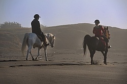 Riding on the beach at Ricochet Ridge Ranch Riding on the Beach at Ricochet Ridge Ranch