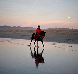 Riding on the beach at Sunset at Ricochet Ridge Ranch
