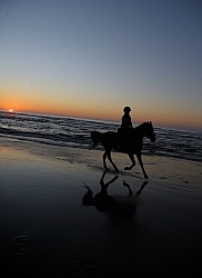 Riding on the beach at Sunset at Ricochet Ridge Ranch