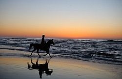 Riding on the beach at Sunset at Ricochet Ridge Ranch