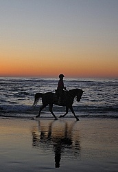 Riding on the beach at Sunset at Ricochet Ridge Ranch
