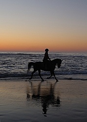 Riding on the beach at Sunset at Ricochet Ridge Ranch