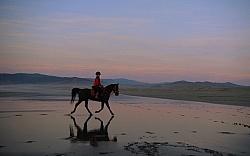 Riding on the beach at Sunset at Ricochet Ridge Ranch