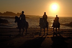 Riding on the beach at Sunset at Ricochet Ridge Ranch