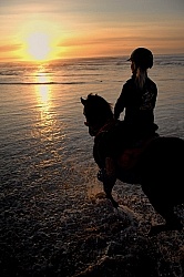 Riding on the beach at Sunset at Ricochet Ridge Ranch